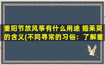 重阳节放风筝有什么用途 插茱萸的含义(不同寻常的习俗：了解重阳节放风筝和插茱萸的含义)